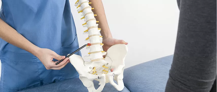 Understanding Herniated Discs  Professional Physical Therapy
